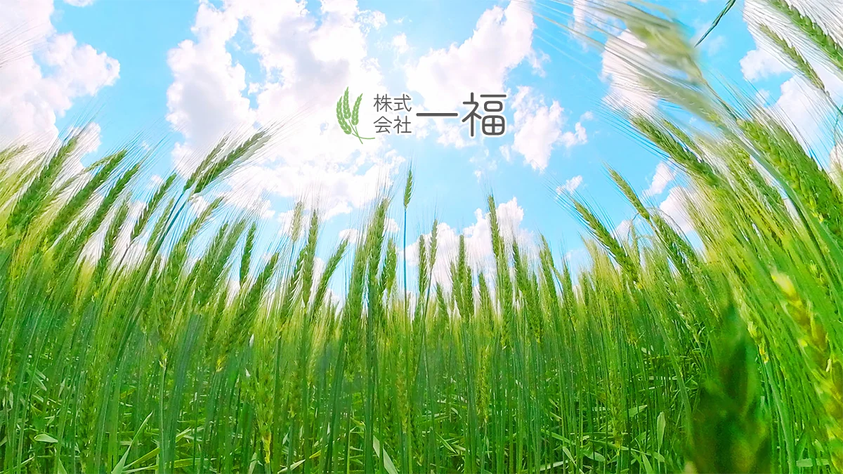 株式会社 一福